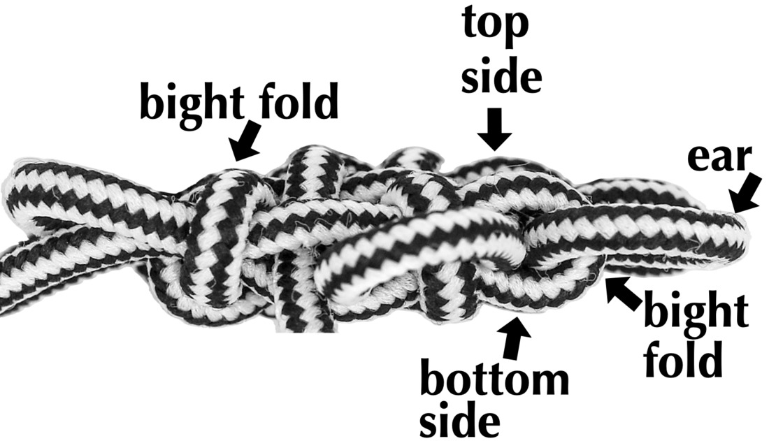 A mystic knot, side view, labelled