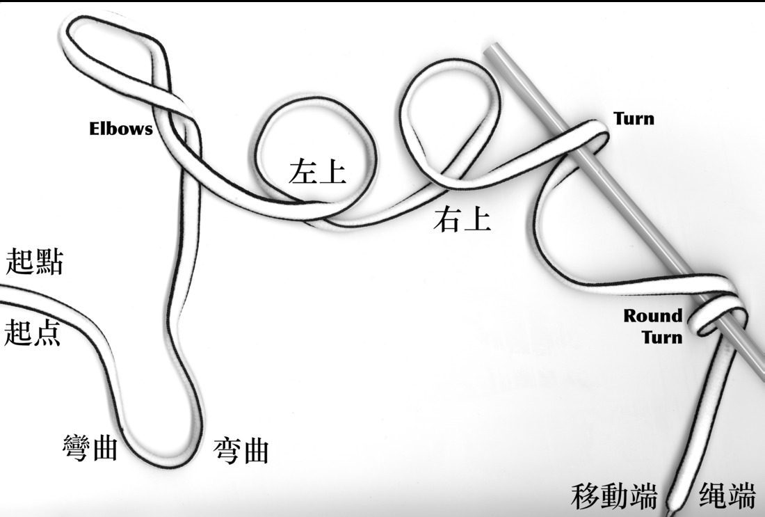 Cord anatomy glossary illustration in Chinese