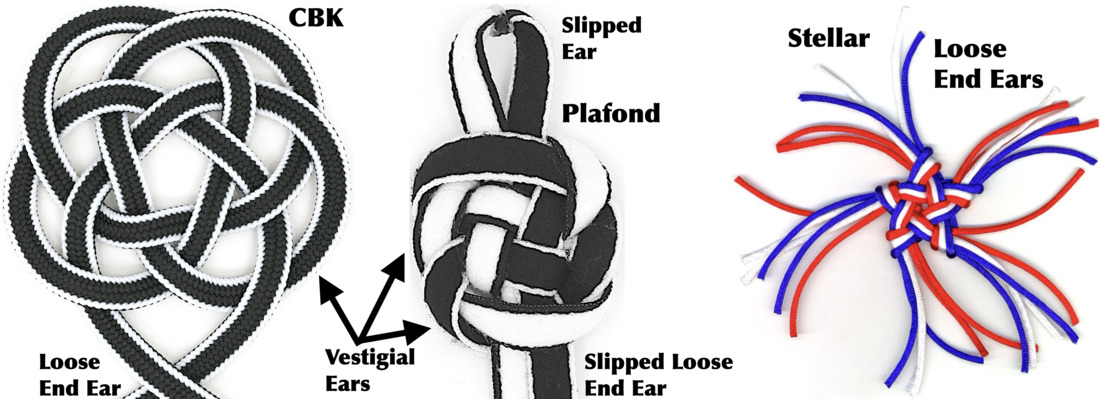 Knot Ear glossary illustration